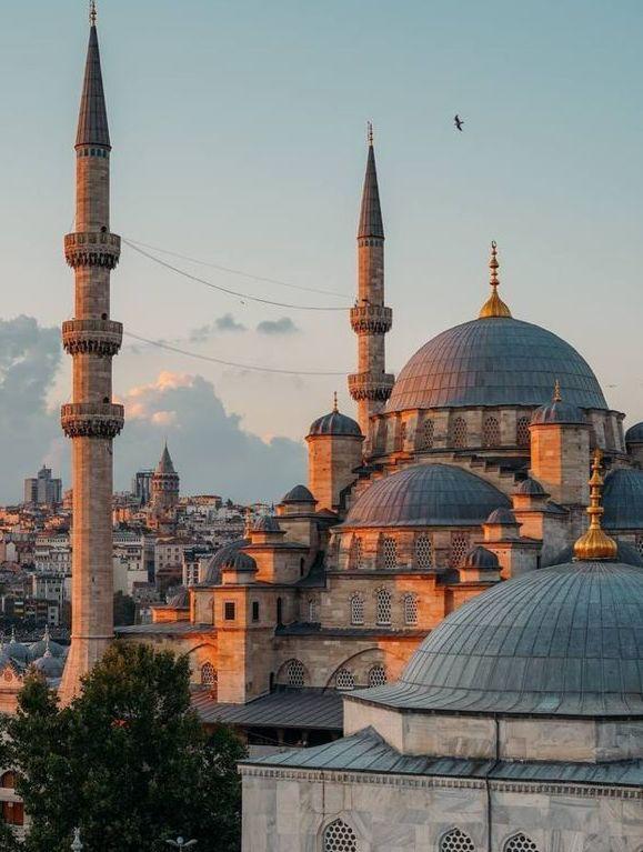 Anka Kaplama Ekip Fotoğrafı